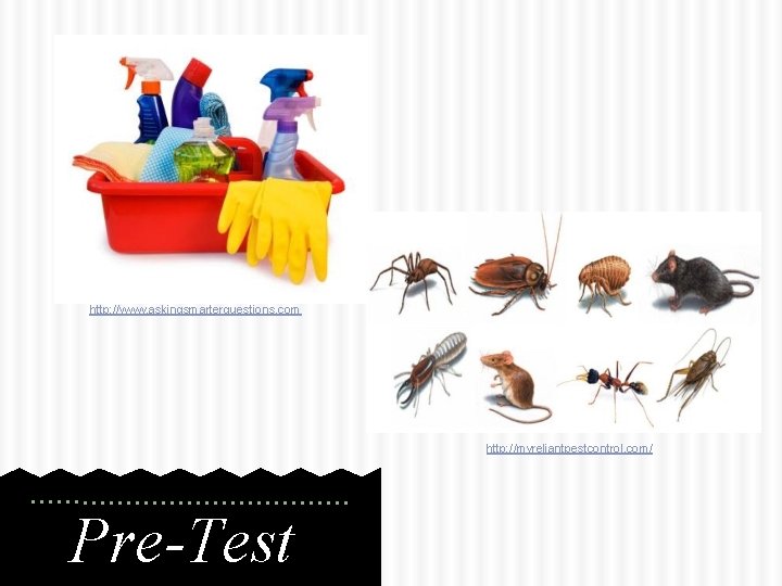 http: //www. askingsmarterquestions. com http: //myreliantpestcontrol. com/ Pre-Test 