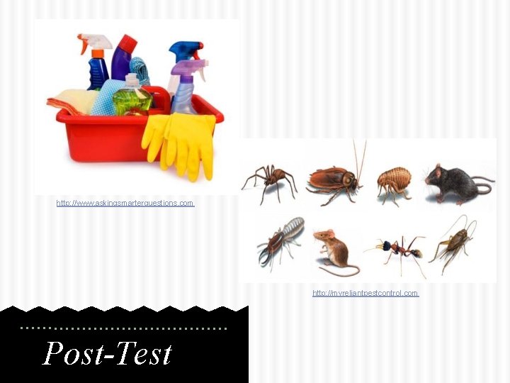 http: //www. askingsmarterquestions. com http: //myreliantpestcontrol. com Post-Test 