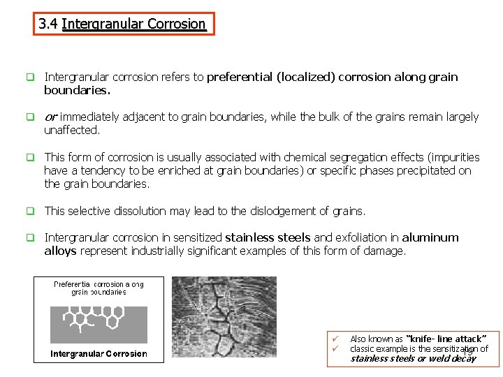 3. 4 Intergranular Corrosion q Intergranular corrosion refers to preferential (localized) corrosion along grain