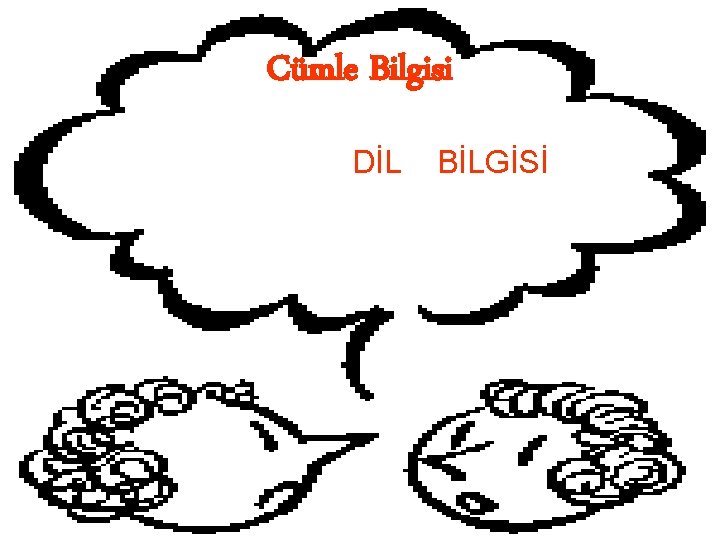 Cümle Bilgisi DİL BİLGİSİ 