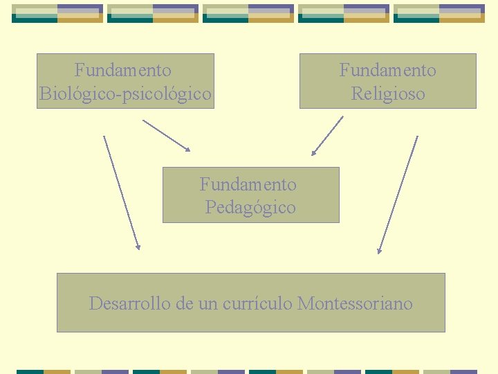 Fundamento Biológico-psicológico Fundamento Religioso Fundamento Pedagógico Desarrollo de un currículo Montessoriano 