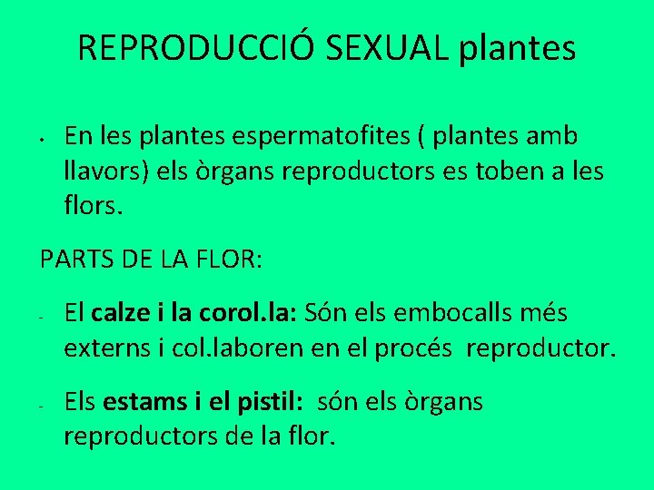 REPRODUCCIÓ SEXUAL plantes • En les plantes espermatofites ( plantes amb llavors) els òrgans