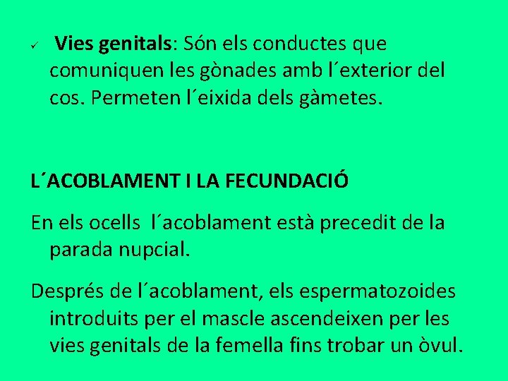 ü Vies genitals: Són els conductes que comuniquen les gònades amb l´exterior del cos.