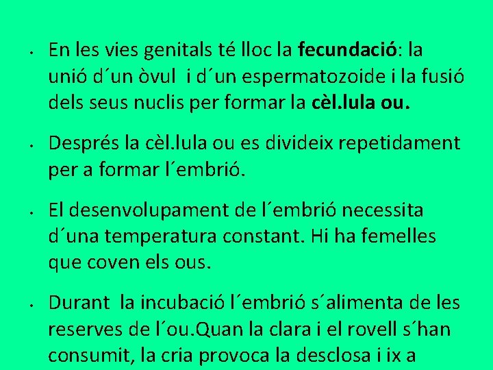 • • En les vies genitals té lloc la fecundació: la unió d´un • • En les vies genitals té lloc la fecundació: la unió d´un