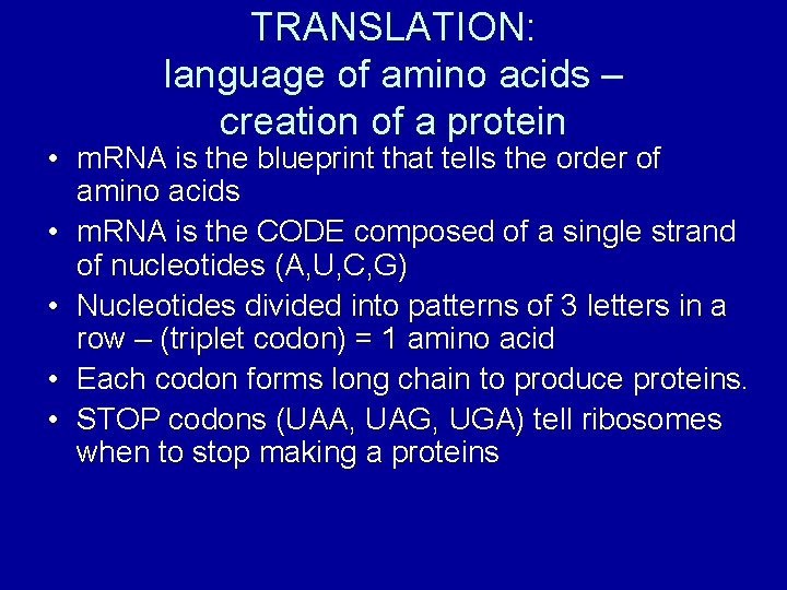 TRANSLATION: language of amino acids – creation of a protein • m. RNA is