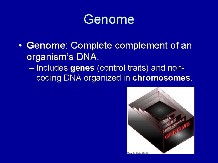 Genome • Genome: Complete complement of an organism’s DNA. – Includes genes (control traits)