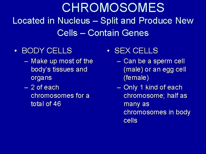 CHROMOSOMES Located in Nucleus – Split and Produce New Cells – Contain Genes •