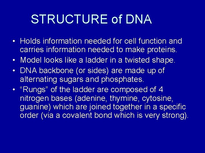 STRUCTURE of DNA • Holds information needed for cell function and carries information needed