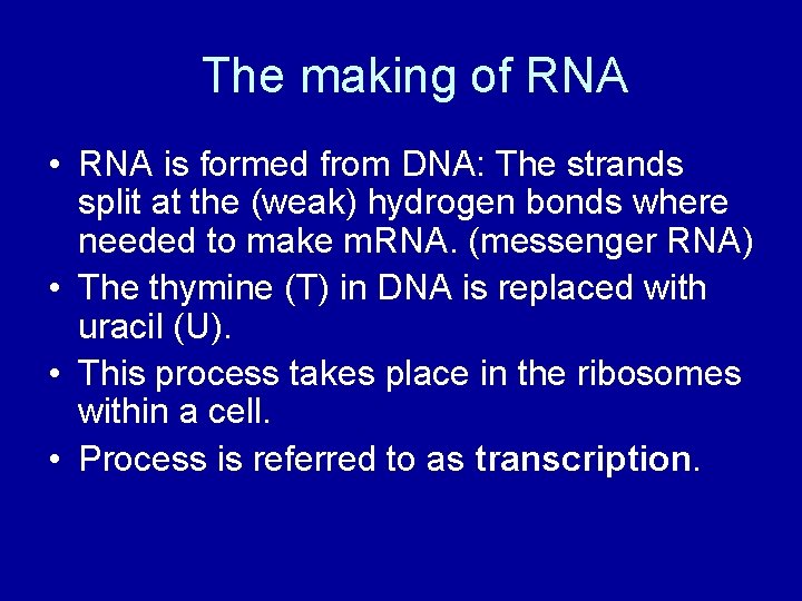 The making of RNA • RNA is formed from DNA: The strands split at