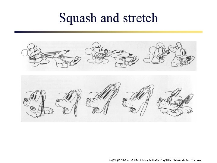 Squash and stretch Copyright "Illusion of Life: Disney Animation" by Ollie Frank/Johnson Thomas 