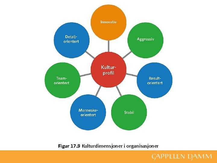 Figur 17. 9 Kulturdimensjoner i organisasjoner 