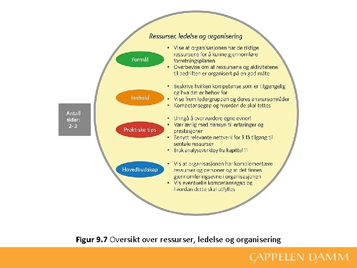 Figur 9. 7 Oversikt over ressurser, ledelse og organisering 