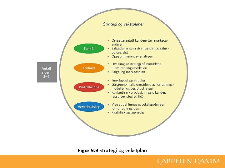 Figur 9. 9 Strategi og vekstplan 