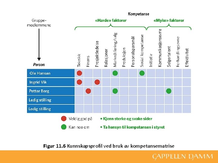 Figur 11. 6 Kunnskapsprofil ved bruk av kompetansematrise 