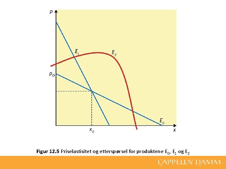 Figur 12. 5 Priselastisitet og etterspørsel for produktene E 0, E 1 og E