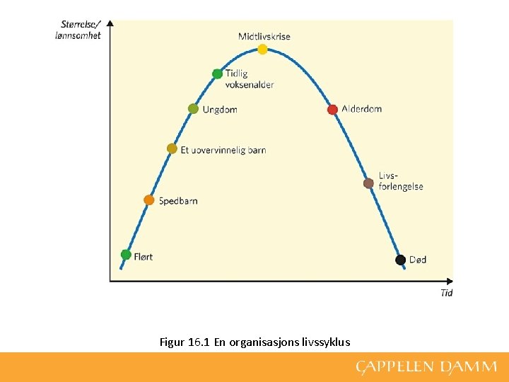 Figur 16. 1 En organisasjons livssyklus 