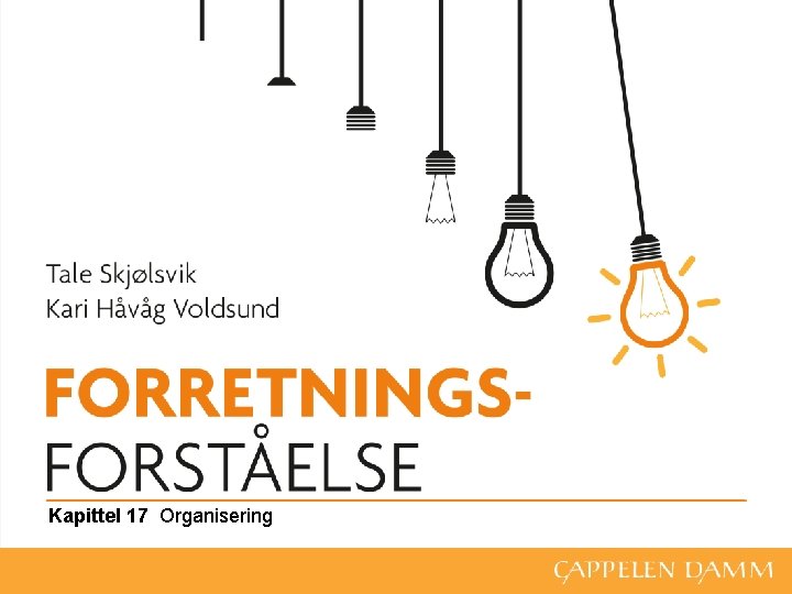 Kapittel 17 Organisering 