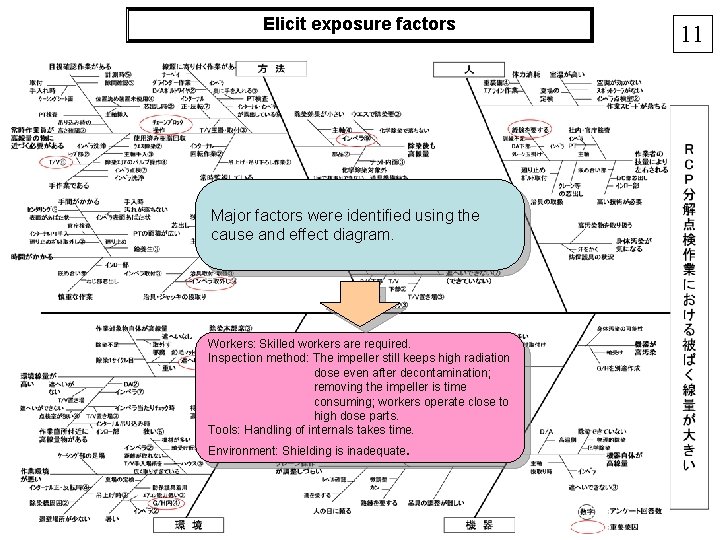 Elicit exposure factors Major factors were identified using the cause and effect diagram. Workers: