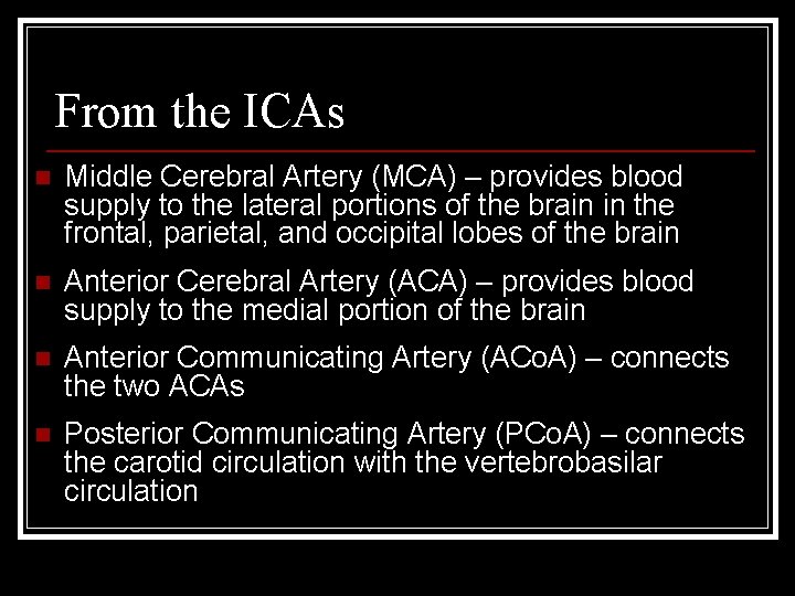 From the ICAs n Middle Cerebral Artery (MCA) – provides blood supply to the