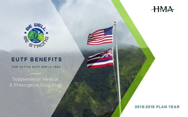 EUTF BENEFITS FOR ACTIVE EUTF EMPLOYEES Supplemental Medical & Prescription Drug Plan 2018 -2019