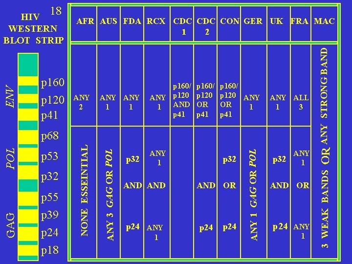 ENV WESTERN BLOT STRIP p 160 p 120 p 41 AFR AUS FDA RCX