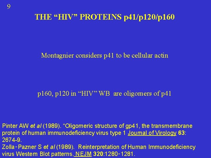 9 THE “HIV” PROTEINS p 41/p 120/p 160 Montagnier considers p 41 to be