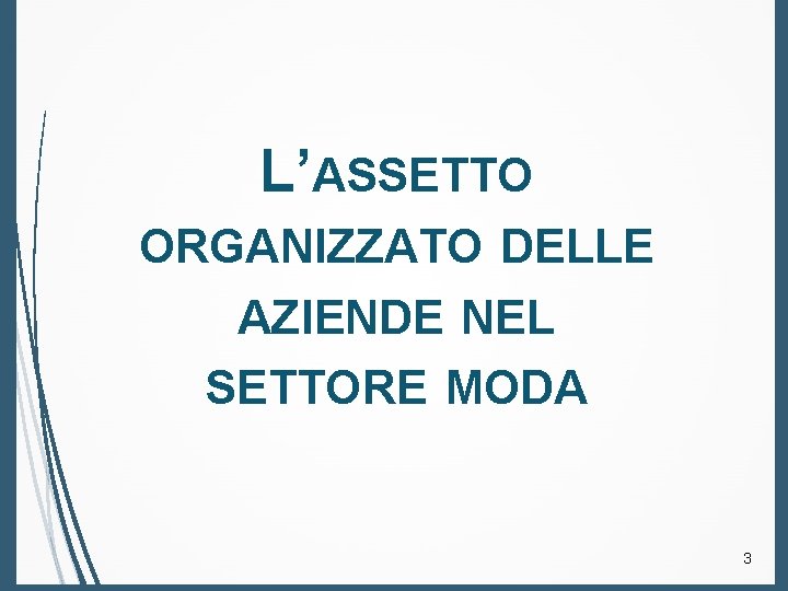 L’ASSETTO ORGANIZZATO DELLE AZIENDE NEL SETTORE MODA 3 