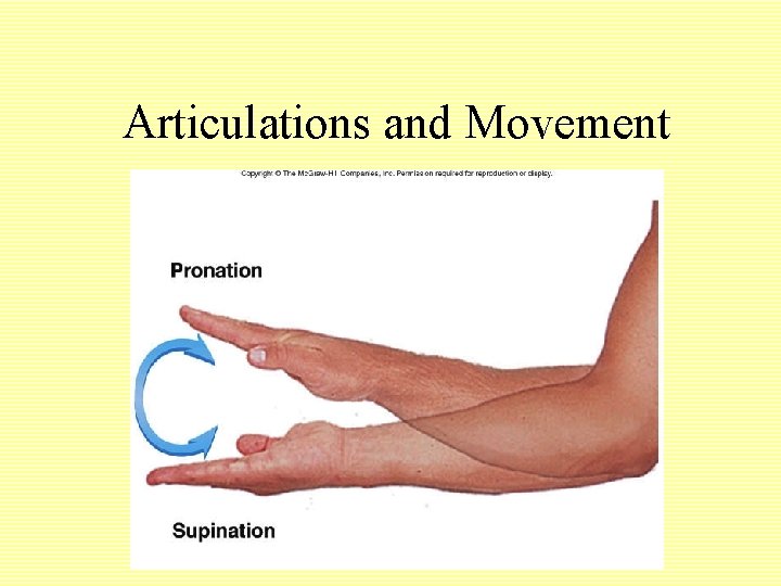 Articulations and Movement 