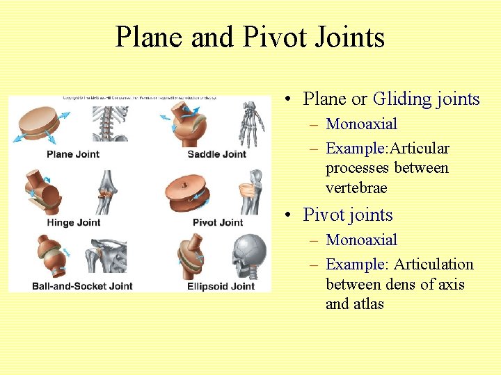 Plane and Pivot Joints • Plane or Gliding joints – Monoaxial – Example: Articular