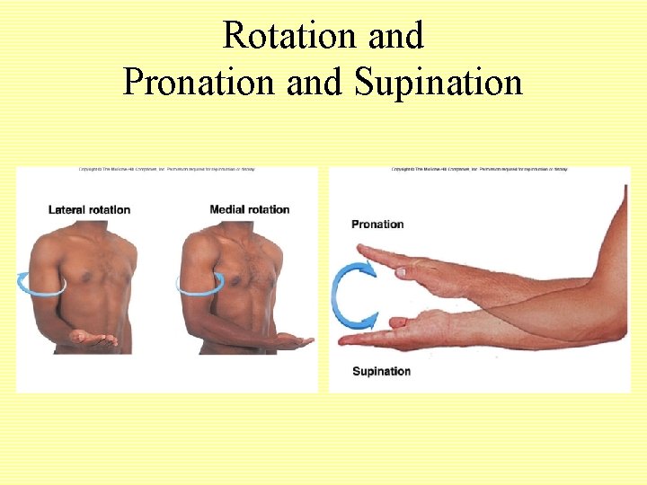 Rotation and Pronation and Supination 