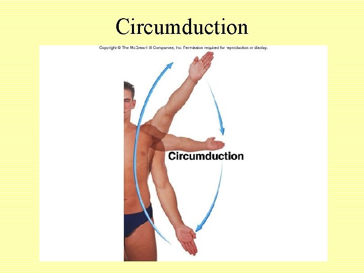 Circumduction 