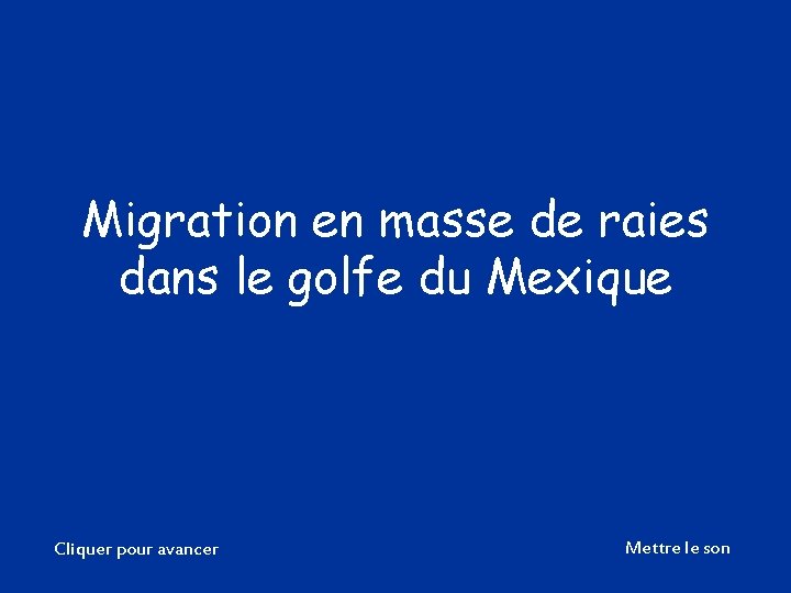 Migration en masse de raies dans le golfe du Mexique Cliquer pour avancer Mettre