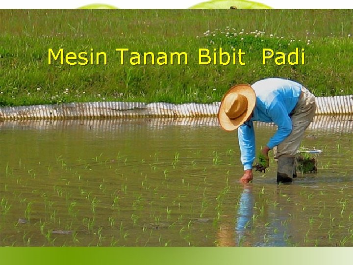 Mesin Tanam Bibit Padi 