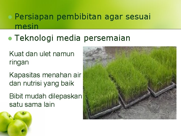 Persiapan pembibitan agar sesuai mesin l Teknologi media persemaian l Kuat dan ulet namun