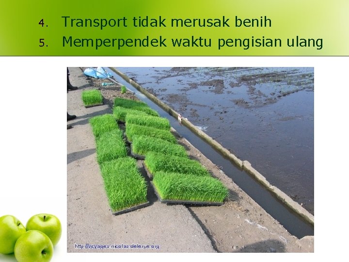 4. 5. Transport tidak merusak benih Memperpendek waktu pengisian ulang 