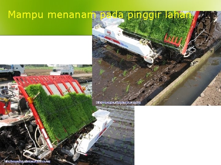 Mampu menanam pada pinggir lahan 