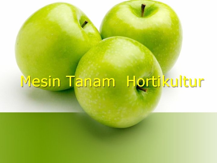 Mesin Tanam Hortikultur 