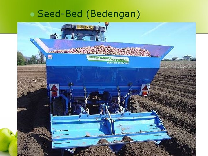 l Seed-Bed (Bedengan) 