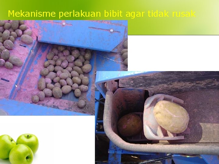 Mekanisme perlakuan bibit agar tidak rusak 