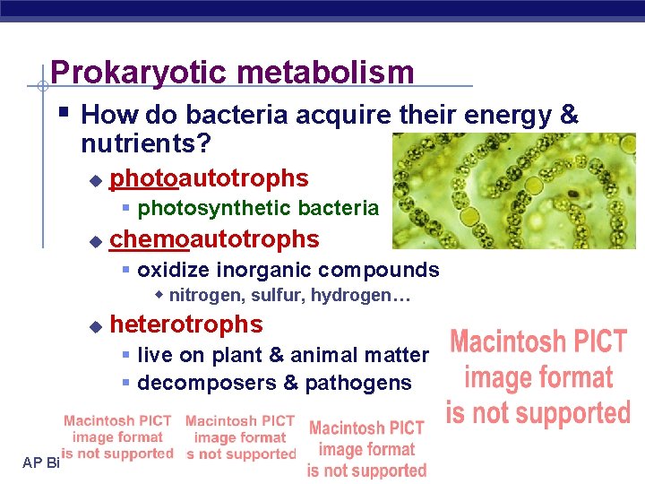 Prokaryotic metabolism § How do bacteria acquire their energy & nutrients? u photoautotrophs §