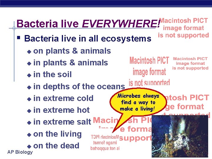 Bacteria live EVERYWHERE! § Bacteria live in all ecosystems on plants & animals u