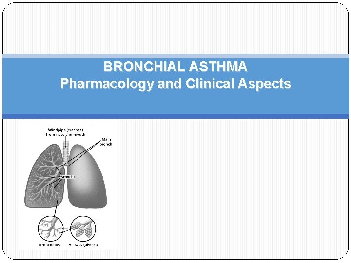 BRONCHIAL ASTHMA Pharmacology and Clinical Aspects 