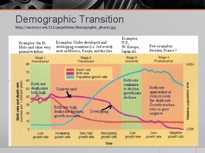 Demographic Transition http: //envirosci. net/111/population/demographic_phases. jpg 