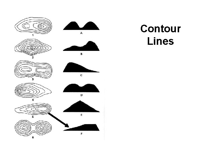 Contour Lines 