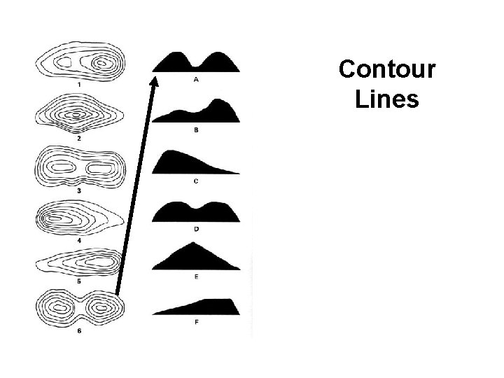 Contour Lines 