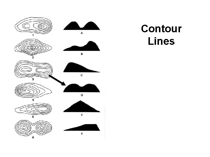 Contour Lines 