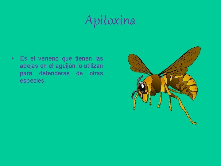 Apitoxina • Es el veneno que tienen las abejas en el aguijón lo utilizan