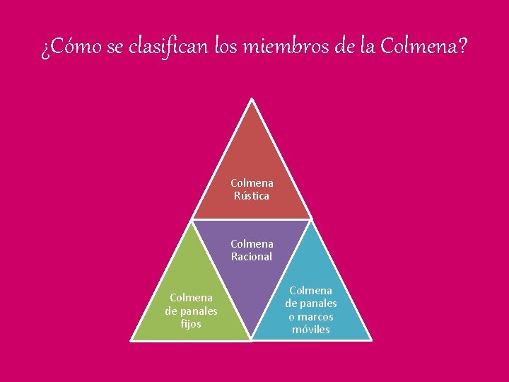 ¿Cómo se clasifican los miembros de la Colmena? Colmena Rústica Colmena Racional Colmena de