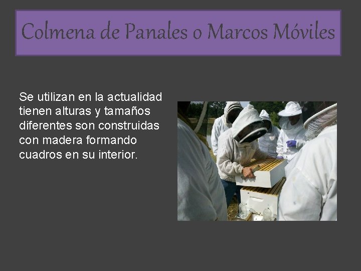 Colmena de Panales o Marcos Móviles Se utilizan en la actualidad tienen alturas y