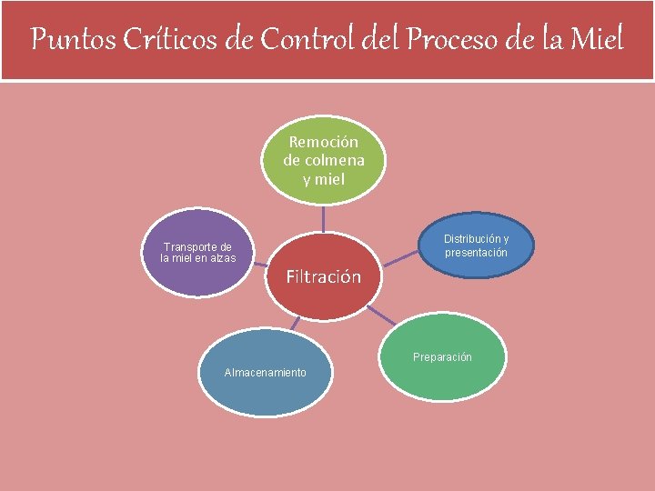 Puntos Críticos de Control del Proceso de la Miel Remoción de colmena y miel